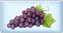 Wieviel Wein ist gesund? Diese und andere Fragen beantwortet der Getränkehandel in Stuttgart.